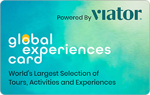 Global Experience