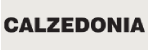 Calzedonia