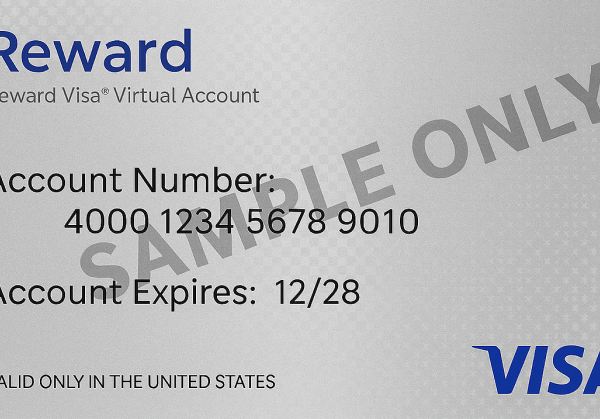 Visa eReward